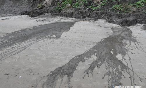 梦见粪坑