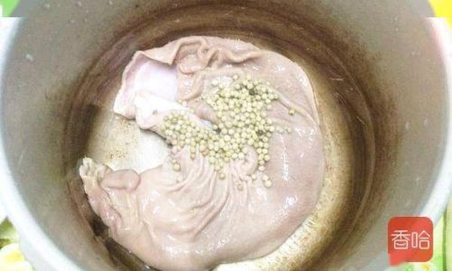 多肉身上很脏怎么洗