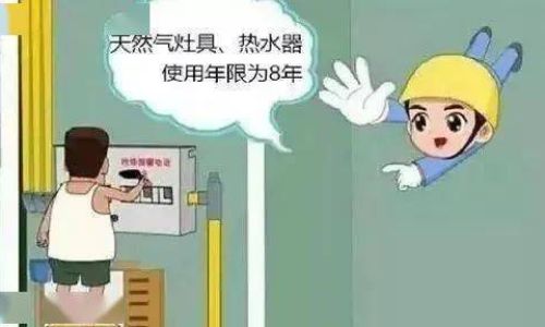 珍珠龟如何养才能爆盆