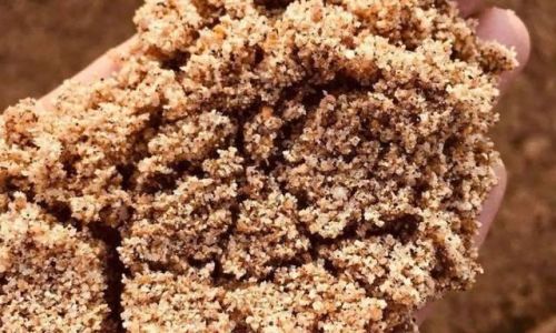 新栽的无花果如何才能生根快