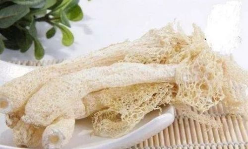 竹荪介绍
