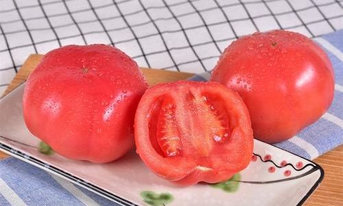 秋天露天可以种小西红柿吗