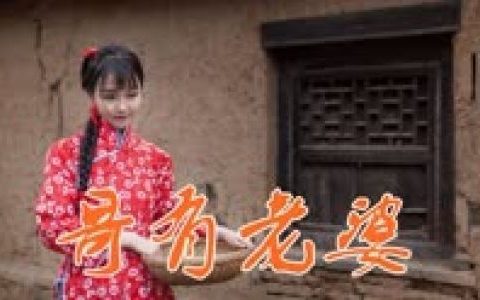 哥有老婆歌词