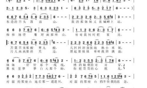 雏鹰之歌歌词