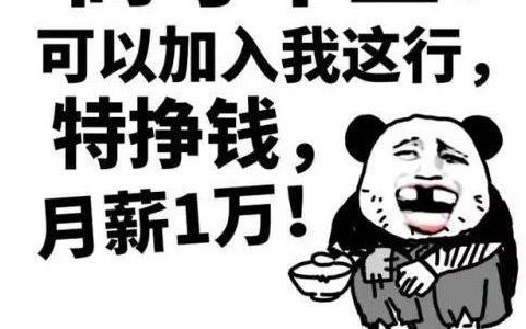谁说没结果冷眼嘲笑我是什么歌