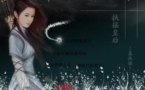 关于小说扶摇皇后简介