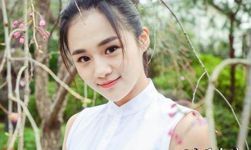 楚乔传安悦溪是演谁