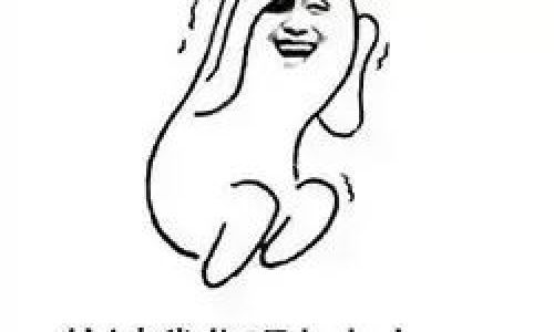 配不配对不对你怎样我都无所谓是什么歌