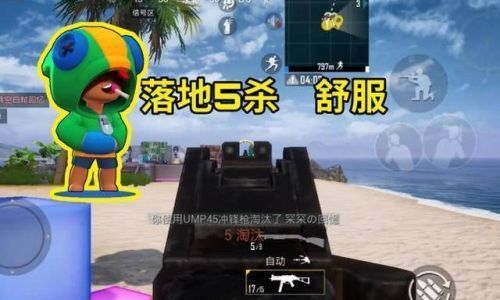 仙气十足的吃鸡名字