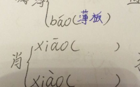 传的多音字怎么组词