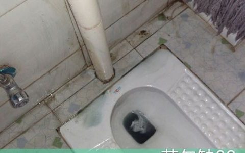 浴室瓷砖污垢清除的方法