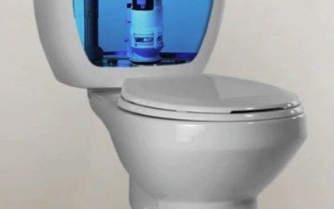 洗衣机和马桶共用进水管可以吗