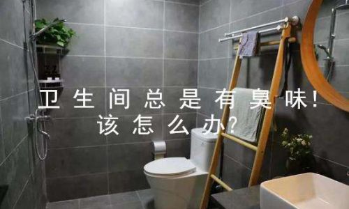 家里厕所臭味如何去除