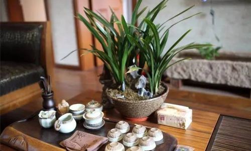 客厅摆放茶具好不好
