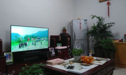 夏威夷竹子放客厅好不好