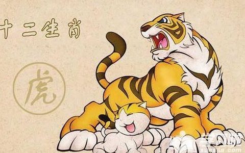 属虎客厅北方位放金猪好不好