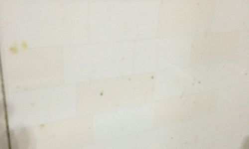 瓷砖的清洗技巧有什么
