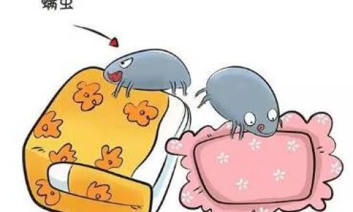 家庭如何防螨虫
