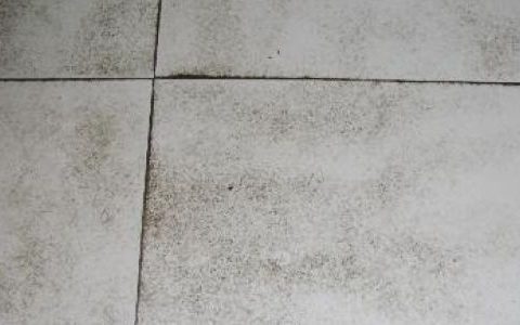 家庭装修瓷砖清洗方法