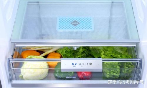 如何挑选冰柜