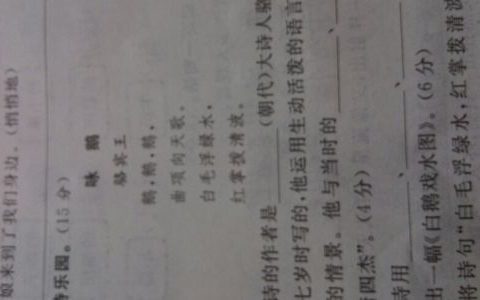 作者是哪个朝代的诗人