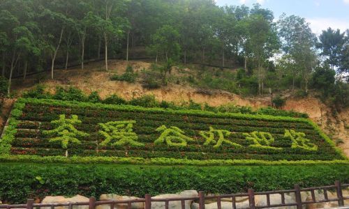 保亭茶溪谷旅游攻略