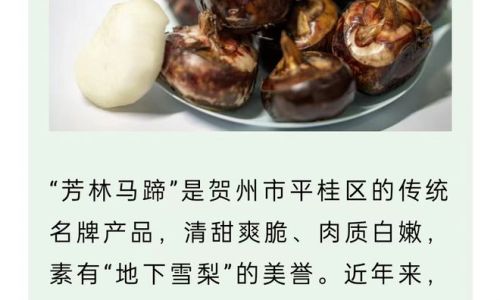 阳朔有什么特产