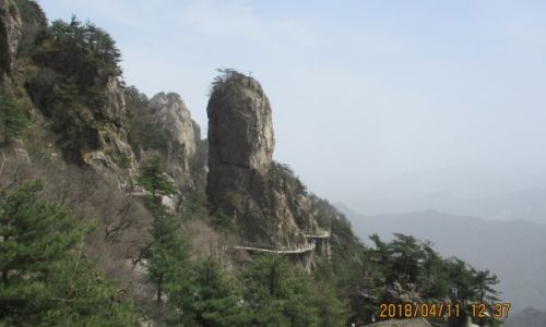 关于老君山风景区旅游攻略