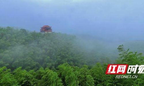 关于益阳旅游攻略
