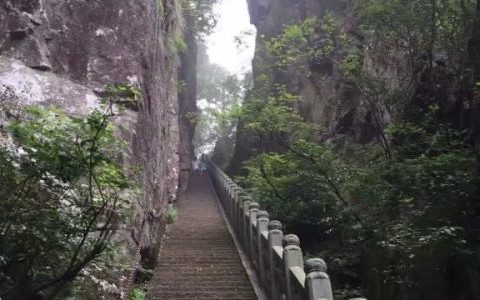 关于西天目山旅游攻略