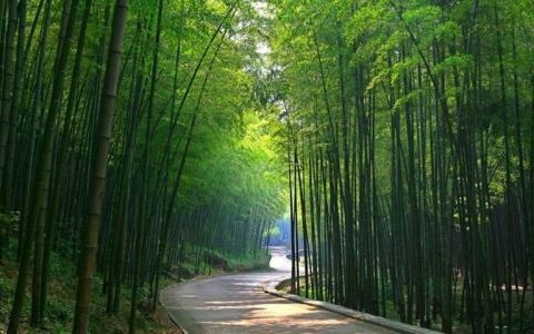 宜兴竹海适合几月份去