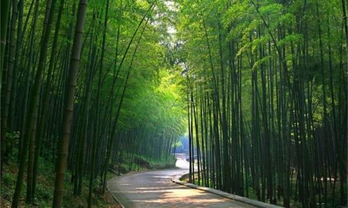 宜兴竹海适合几月份去