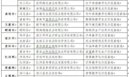 冬季在外旅游准备清单