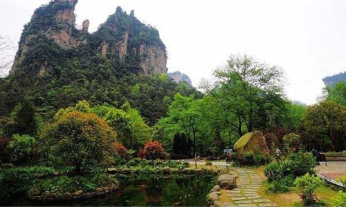 龙川旅游攻略，探秘哪些好玩景点