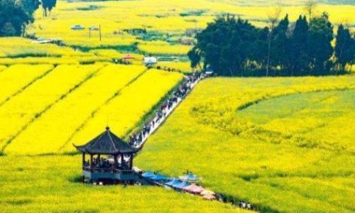 潼南旅游景点简单介绍