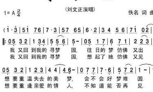 寻梦园歌词