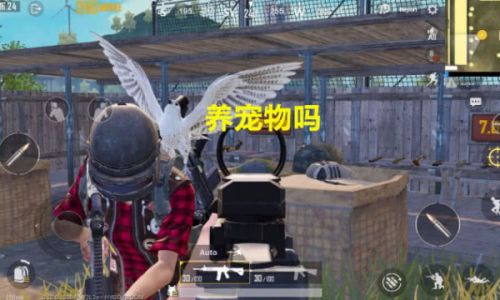 吃鸡战场如何标记一处一点