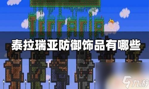 泰拉瑞亚有哪些防御类饰品