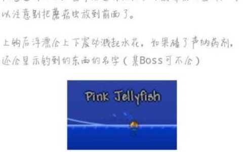 泰拉瑞亚钓鱼竿什么比较好用