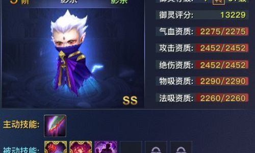 仙影御灵使技能搭配