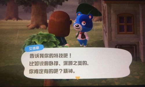 动物之森炸岛是什么意思