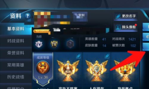 王者荣耀如何查看自己的点券流水