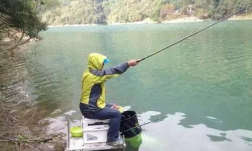 鱼塘钓鱼怎么能避开小白条的骚扰