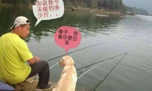 鱼塘钓鱼怎么能避开小白条的骚扰