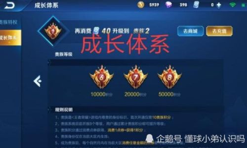王者荣耀如何隐藏贵族等级