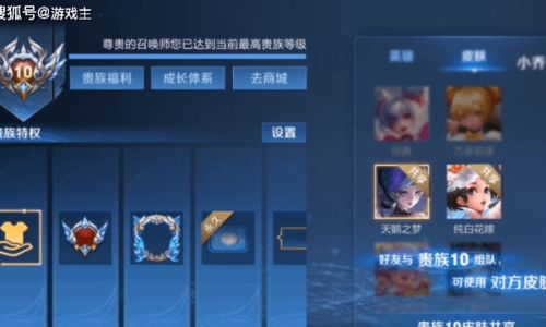 王者荣耀如何隐藏贵族等级