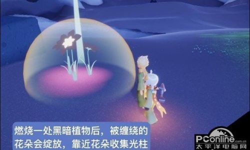 光遇小王子季第四个任务攻略
