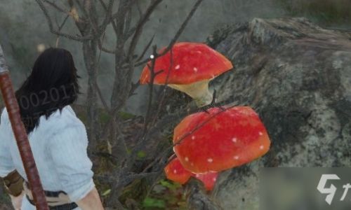 永劫无间红蘑菇效果作用一览