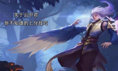 王者荣耀云中君如何连招
