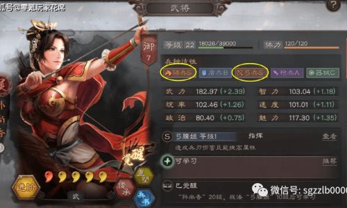 三国戏魏传宝物搭配
